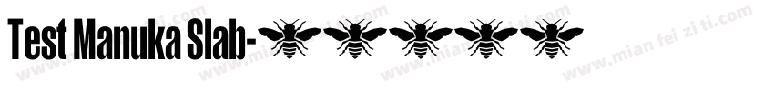 Test Manuka Slab字体转换